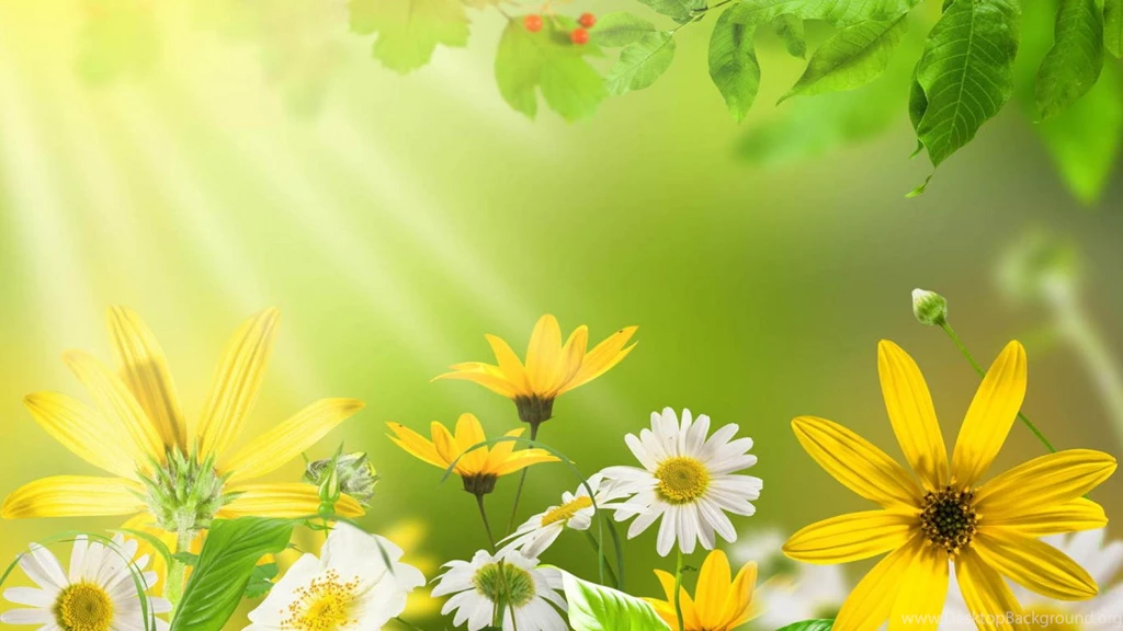 Nice Desktop Backgrounds Wallpapers Cave