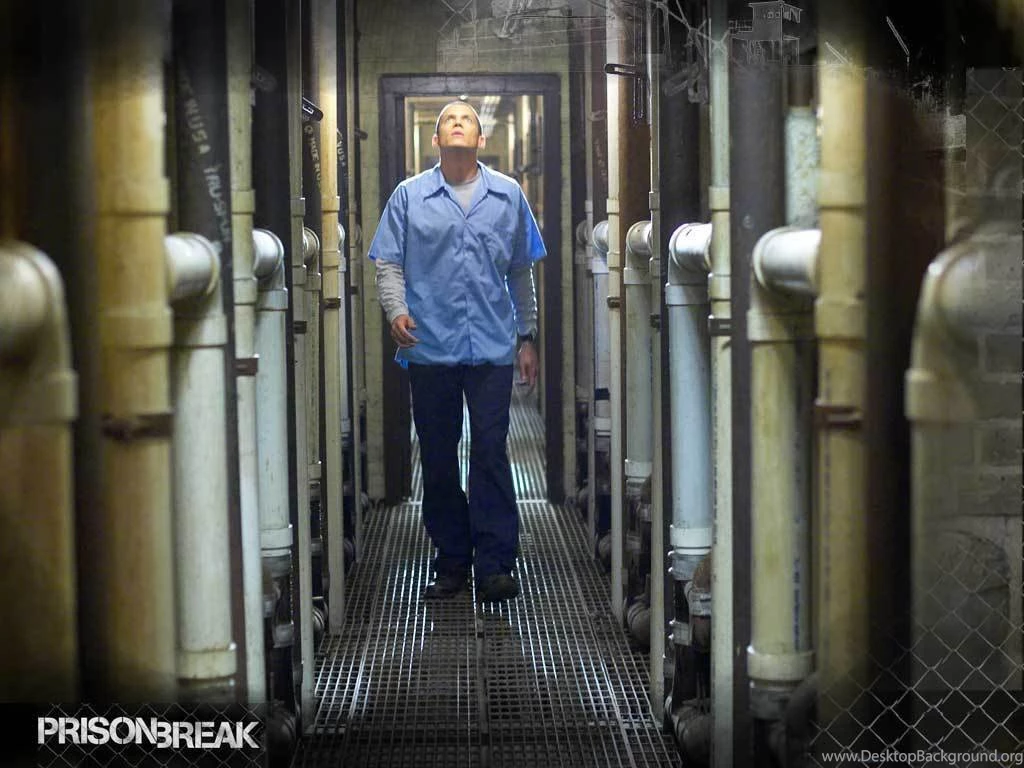 Michael Michael Scofield Wallpapers (997249) Fanpop