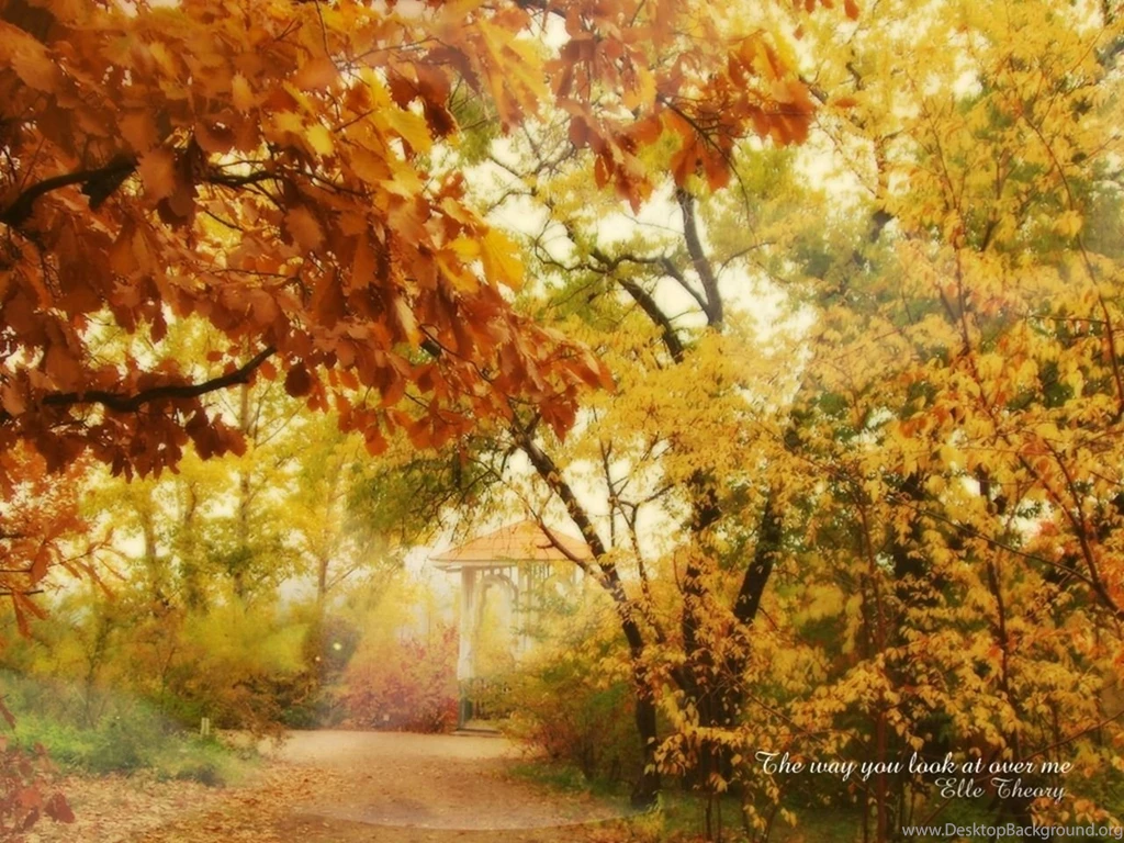 100 Most Famous National Geographic HD Wallpapers Part 6