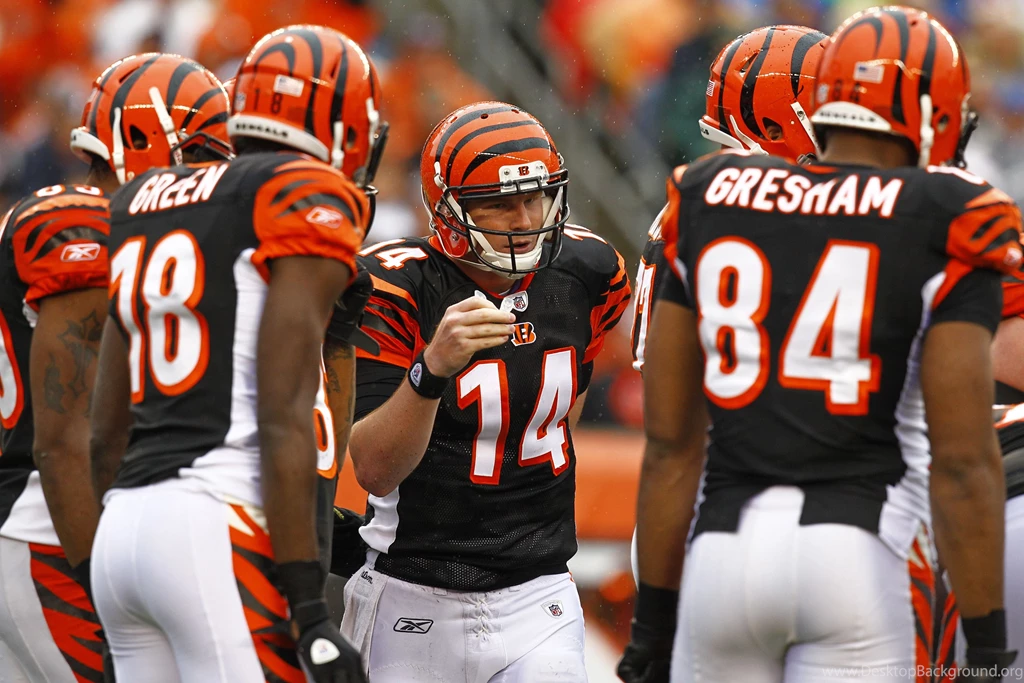 CINCINNATI BENGALS Nfl Football Gs Wallpapers