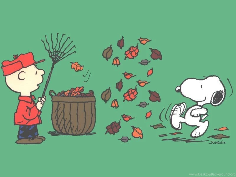Best Websites For Free Thanksgiving Desktop Wallpapers
