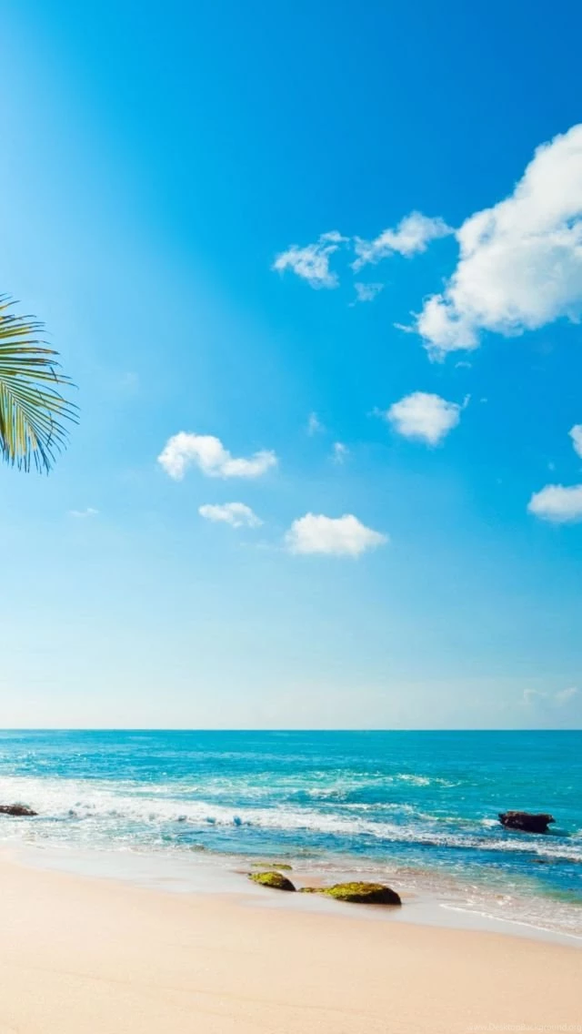Tropical Sunshine iPhone 5s Wallpapers Download