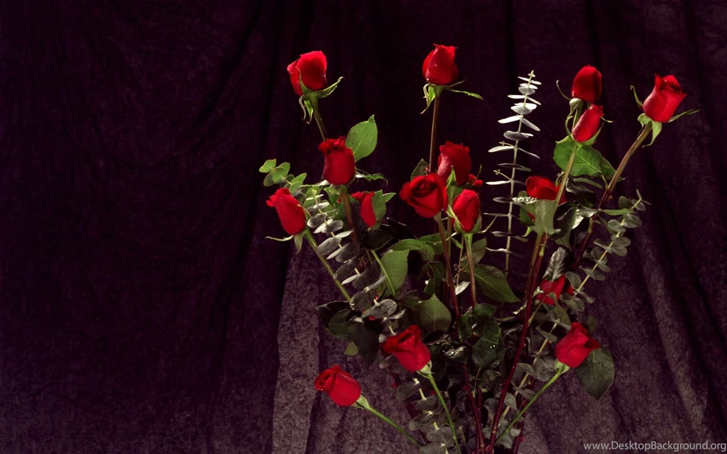 Bunch Of Red Roses Wallpapers