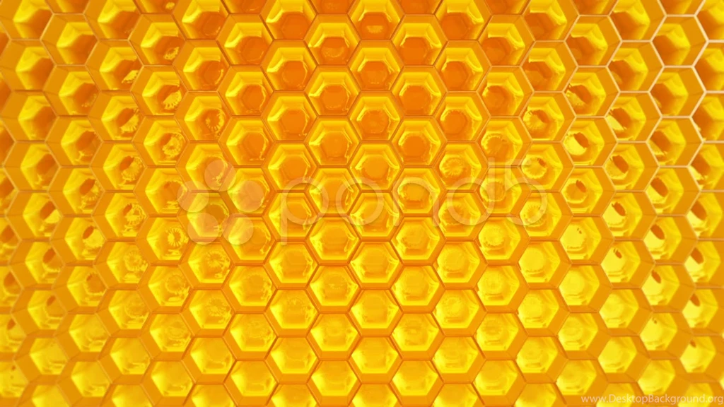 Honeycomb. Honey. Healthy Natural Organic Nutritious Food. Stock ...