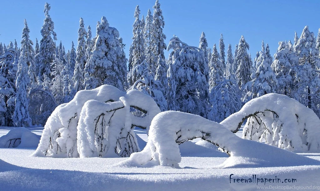 Free Snow Desktop Wallpapers Download Free Wallpapers In