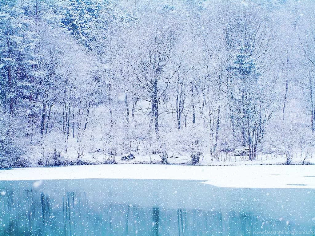 Download Winter Snow Wallpapers Mobile