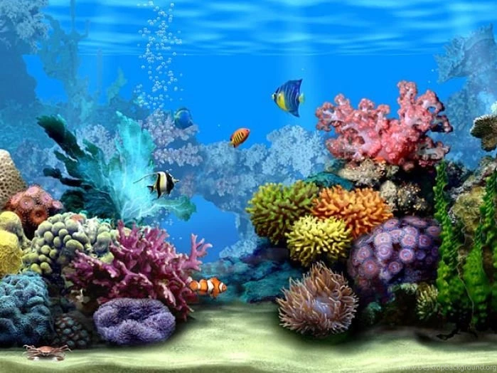 Desktop Wallpapers Animated, How To Download For Free