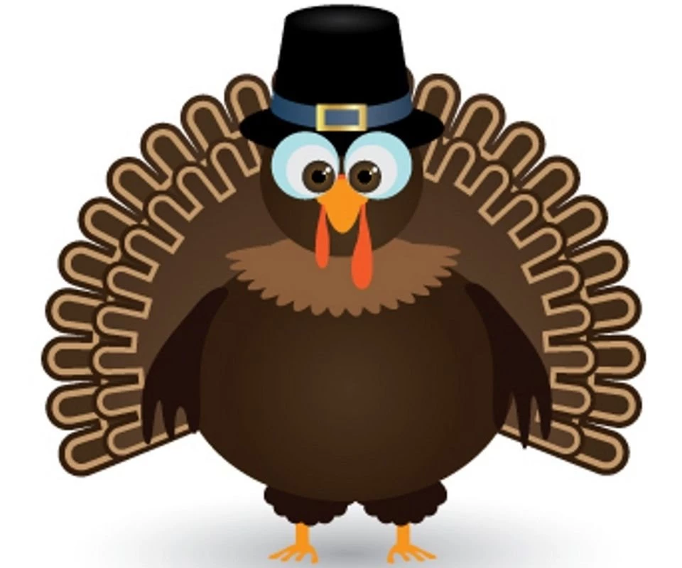 Thanksgiving Turkey Galaxy S2 Wallpapers (960x800)