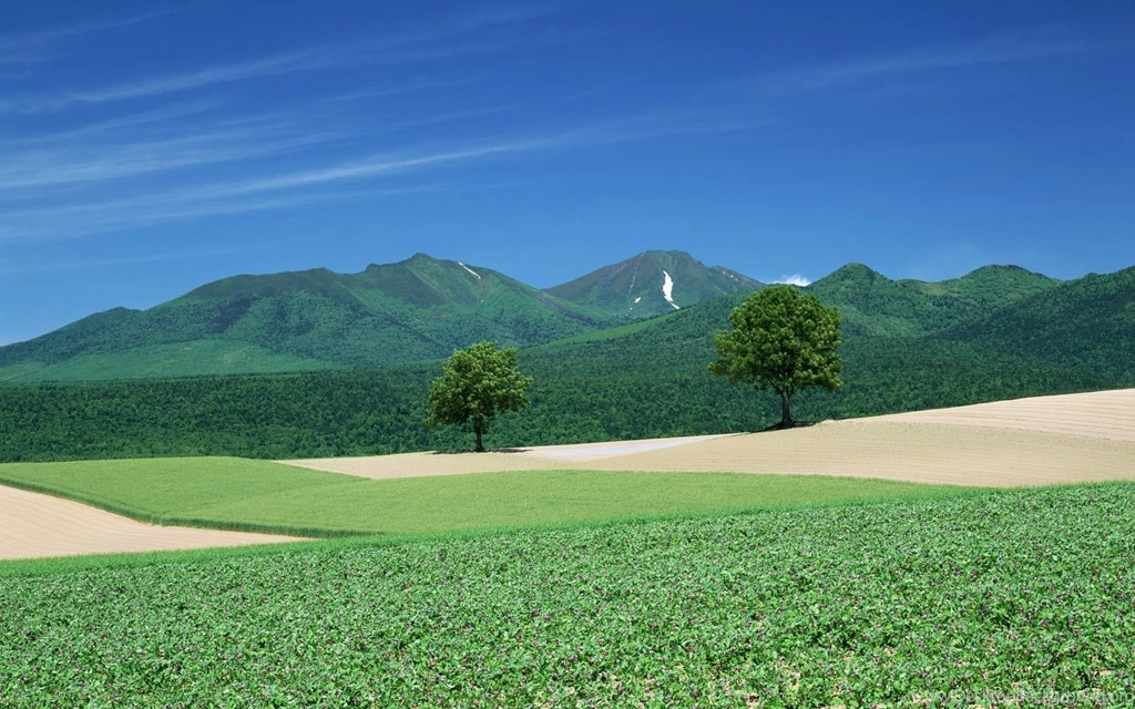 Gallery For Santabanta Nature