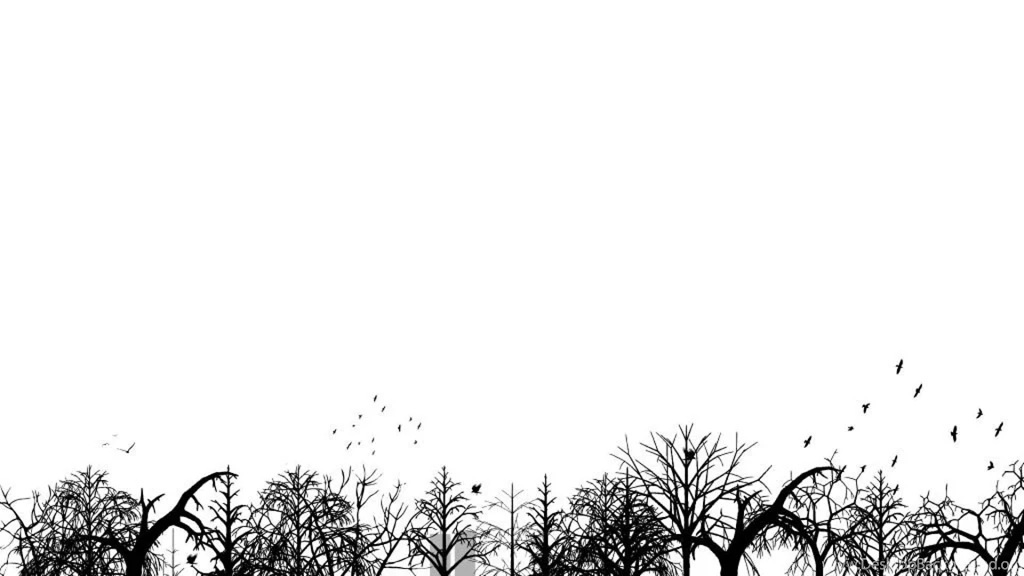 Black And White Colour Wallpapers Au MF