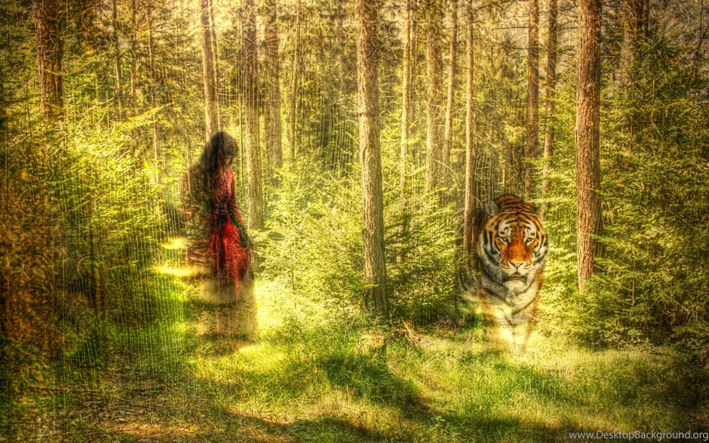 Forest Nature Tree Landscape Artwork Mood Girl Girls Tiger ...