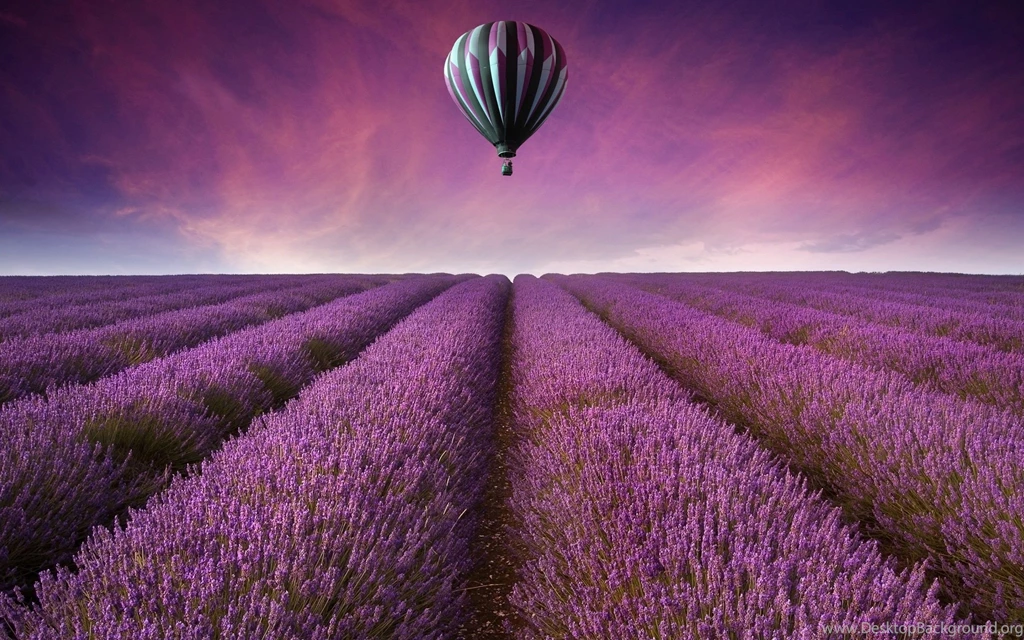Hot Air Balloon Computer Wallpapers, Desktop Backgrounds ...