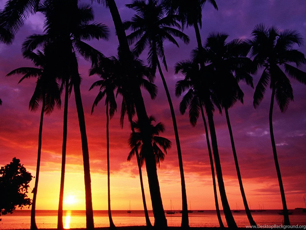 Sunset Backgrounds Wallpapers Cave
