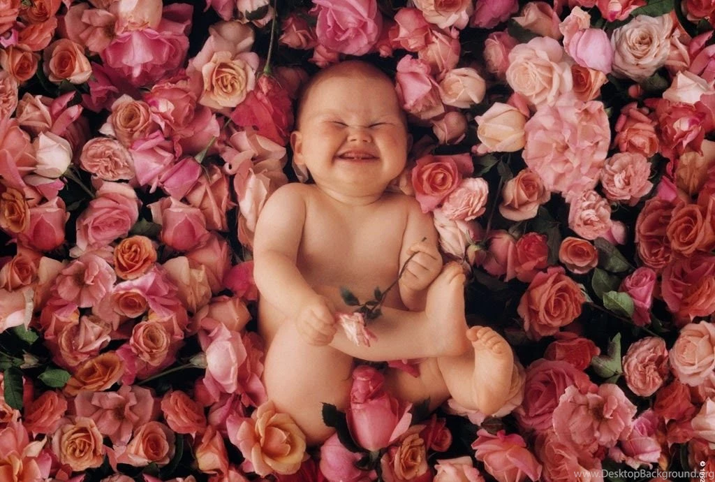 Beautiful Cute Baby Wallpapers