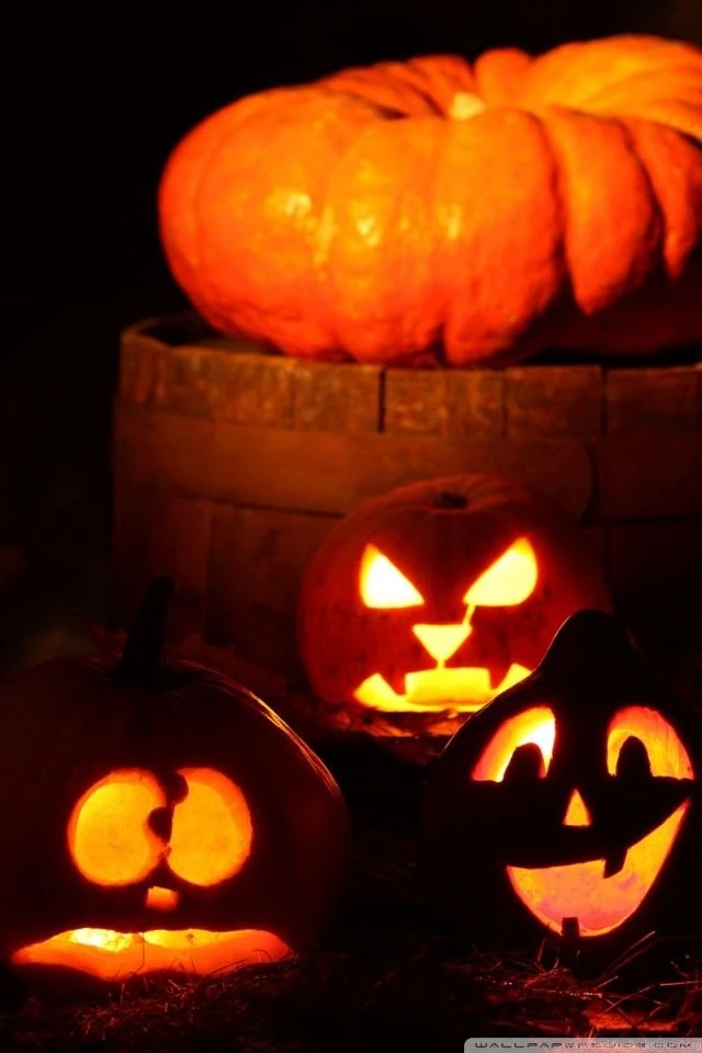 Lighted Halloween Pumpkins Hd Desktop Wallpapers : High Definition 