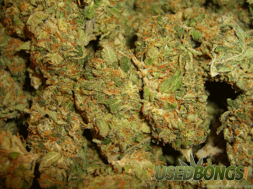 Marijuana Wallpapers » UsedBongs.com