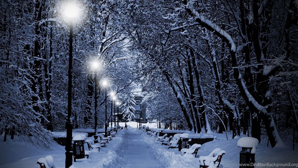 Snowy Park At Night winter Theme Desktop Wallpapers 1920x1080 ...