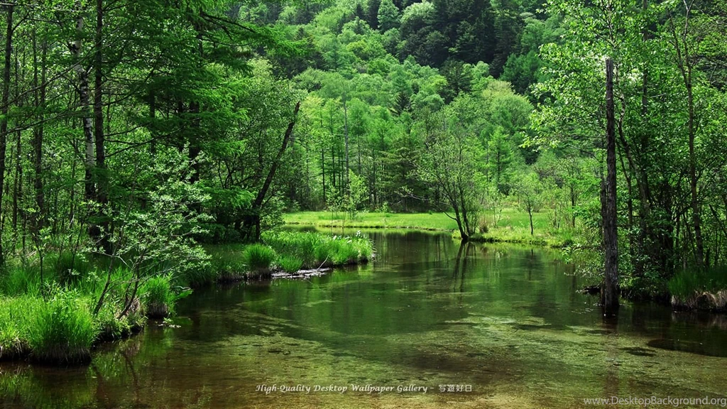 Backgrounds Nature Images HD Wallpapers Pretty