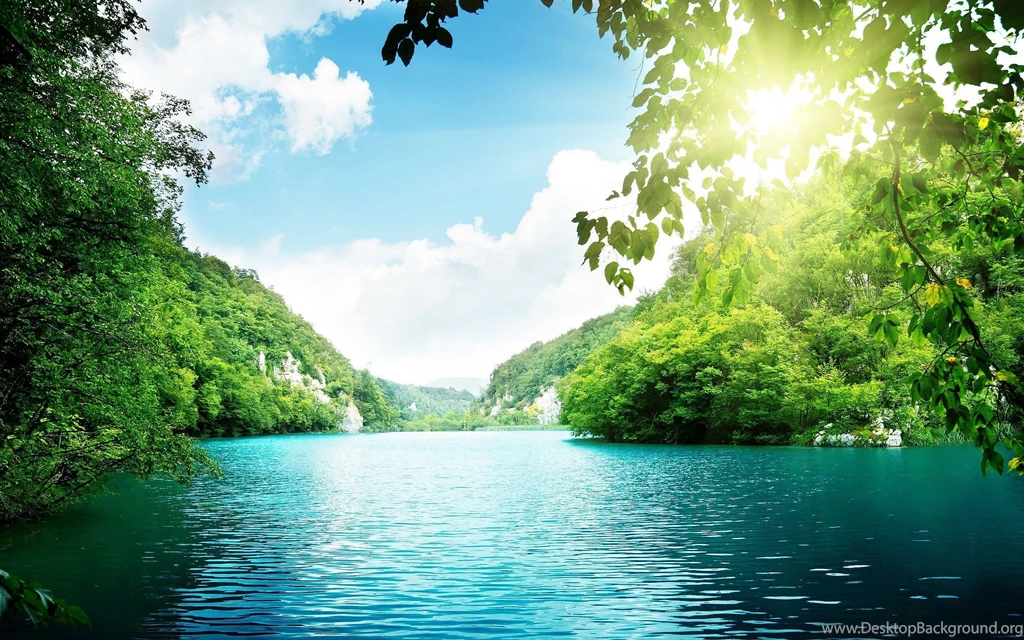 Lagoon Green Water Wallpapers