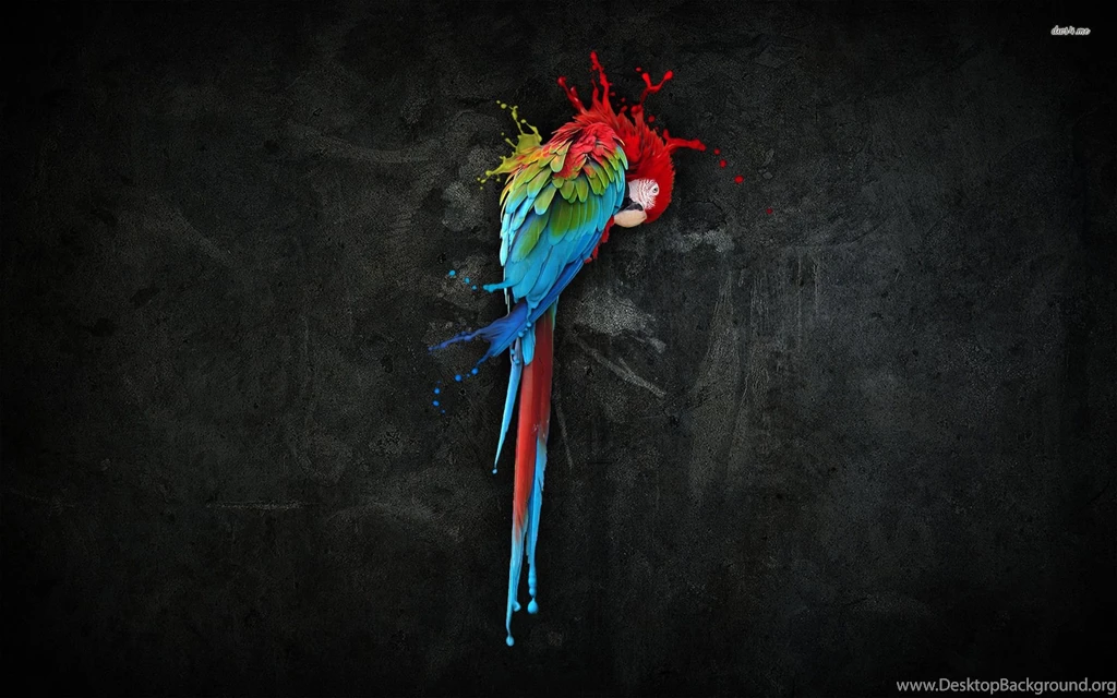 Macaw Wallpapers Digital Art Wallpapers