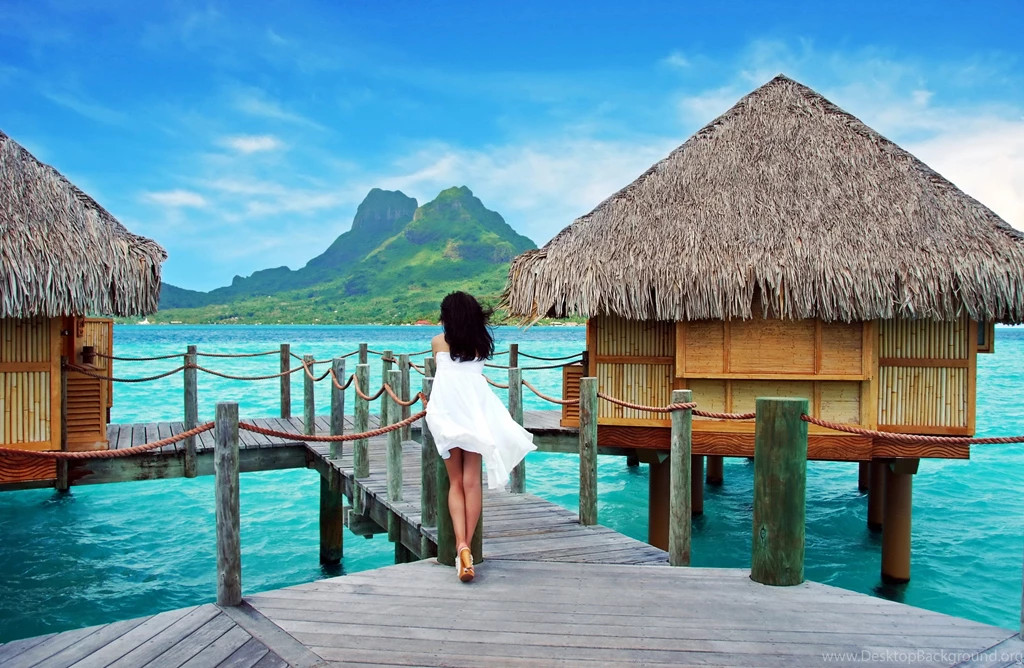 Tropical Ocean Pier Sea Palms Summer Beach Paradise Vacation Mood ...