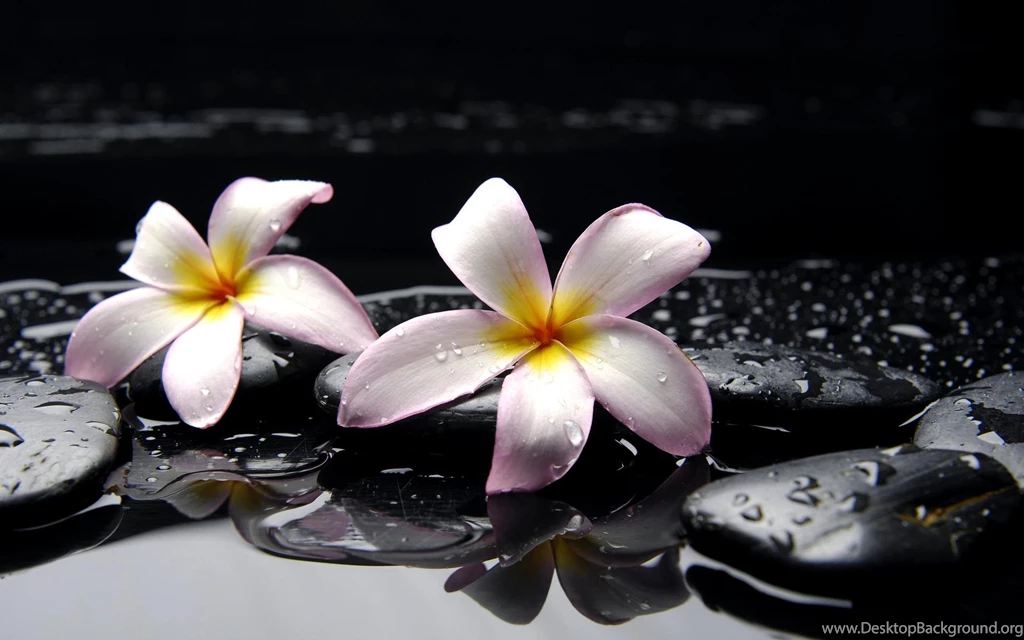 Zen Relax Rocks Stones Water Drops Desktop Photo >> HD Wallpapers ...