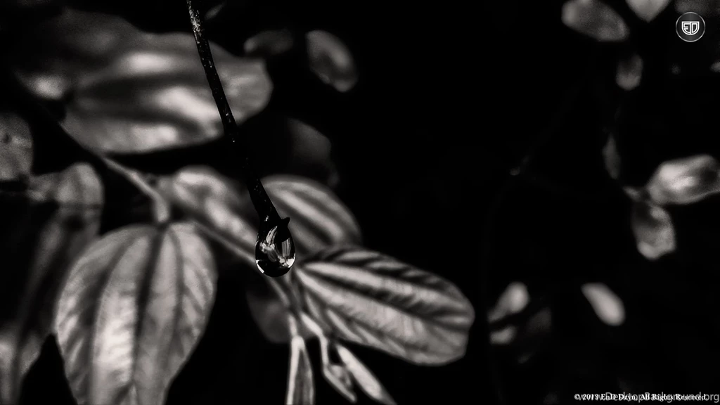 Black And White HD Wallpapers EnD Dzyn