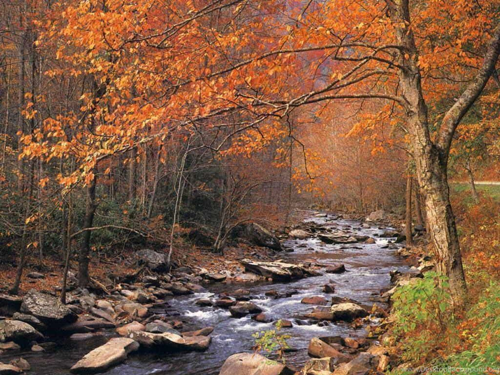 Desktop Backgrounds Fall Wallpapers Cave