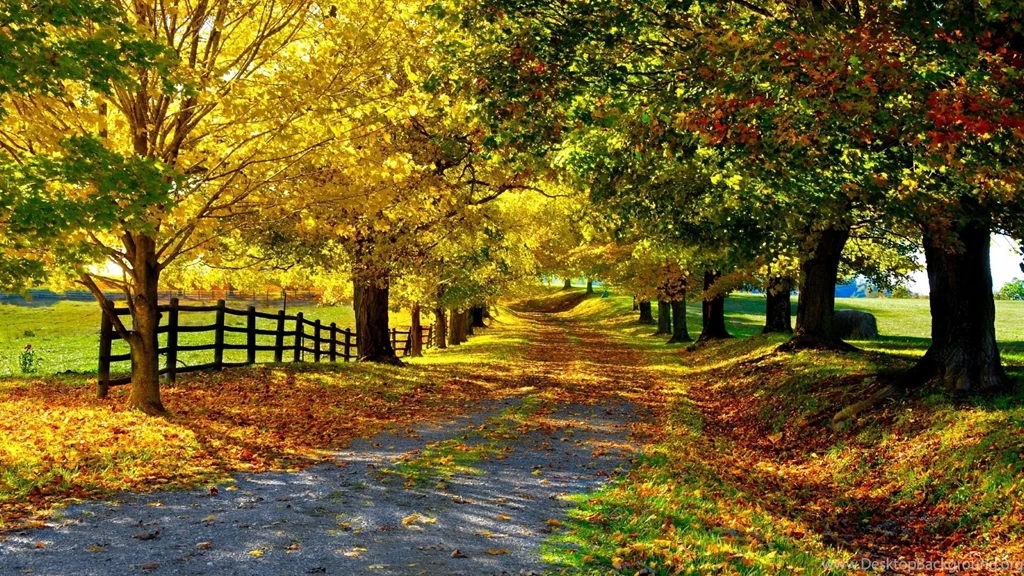Fall Computer Wallpapers, Desktop Backgrounds