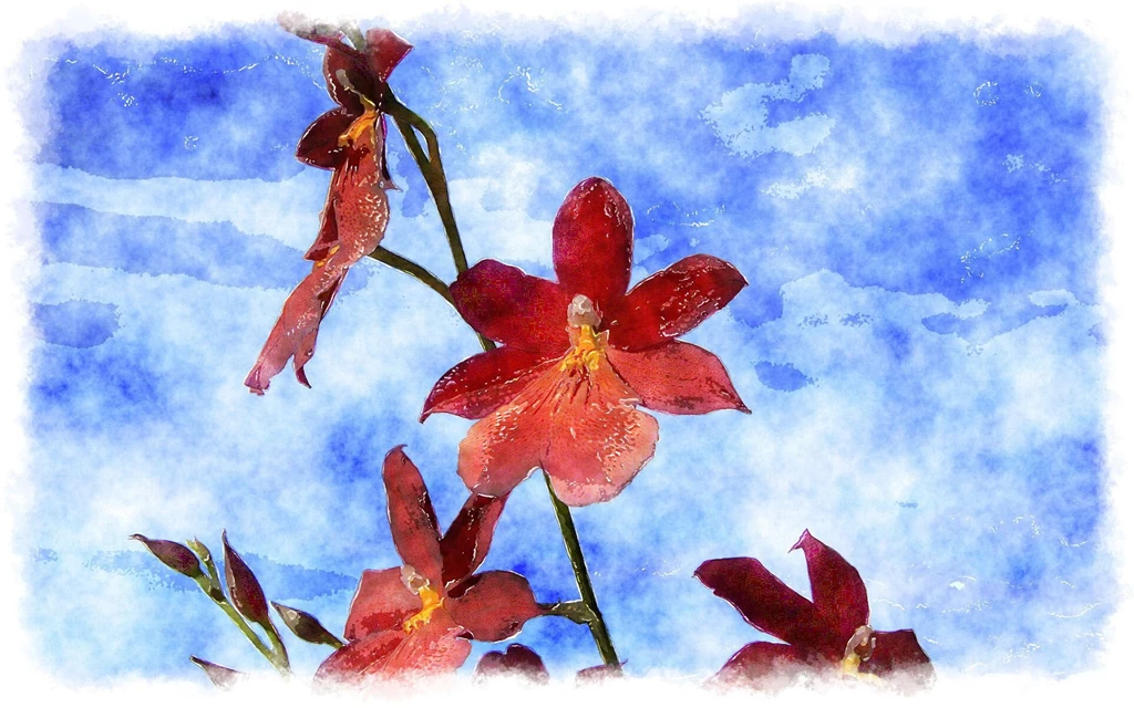 Watercolor Orchids, Watercolor Paintings Of Beautiful Orchids ...