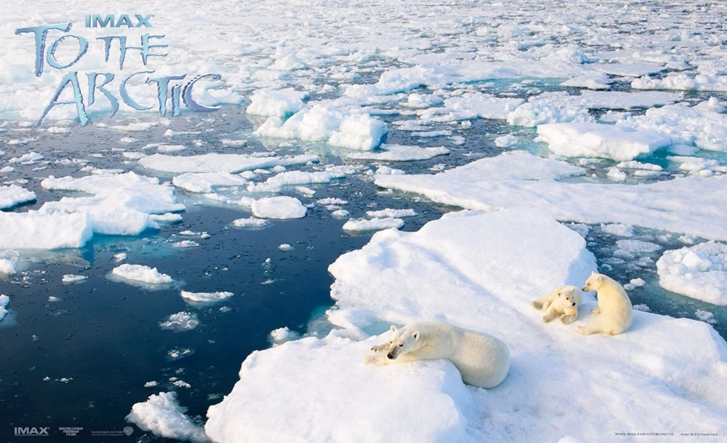9 To The Arctic HD Wallpapers
