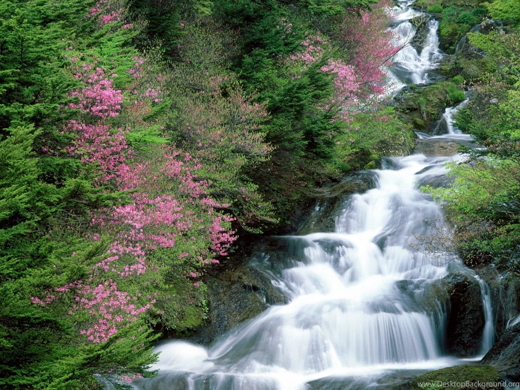 Waterfall 1 Waterfalls