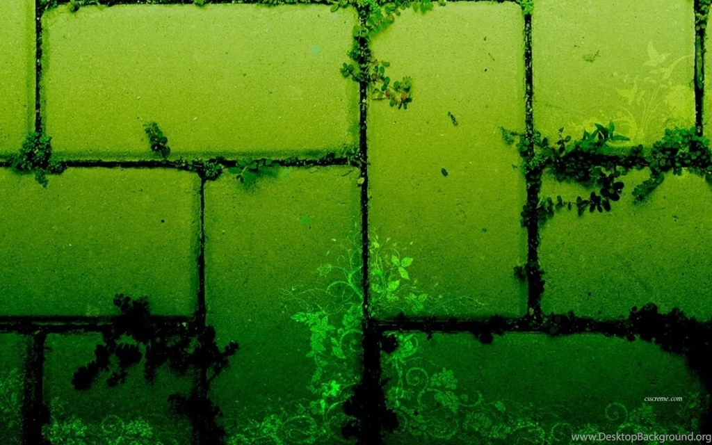25+ Magnificent Collection Of Green Wallpapers