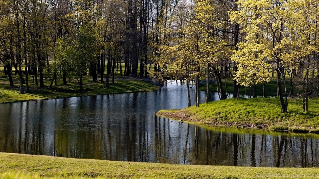Widescreen HD Wallpapers Free Download Newwallpapershits.com