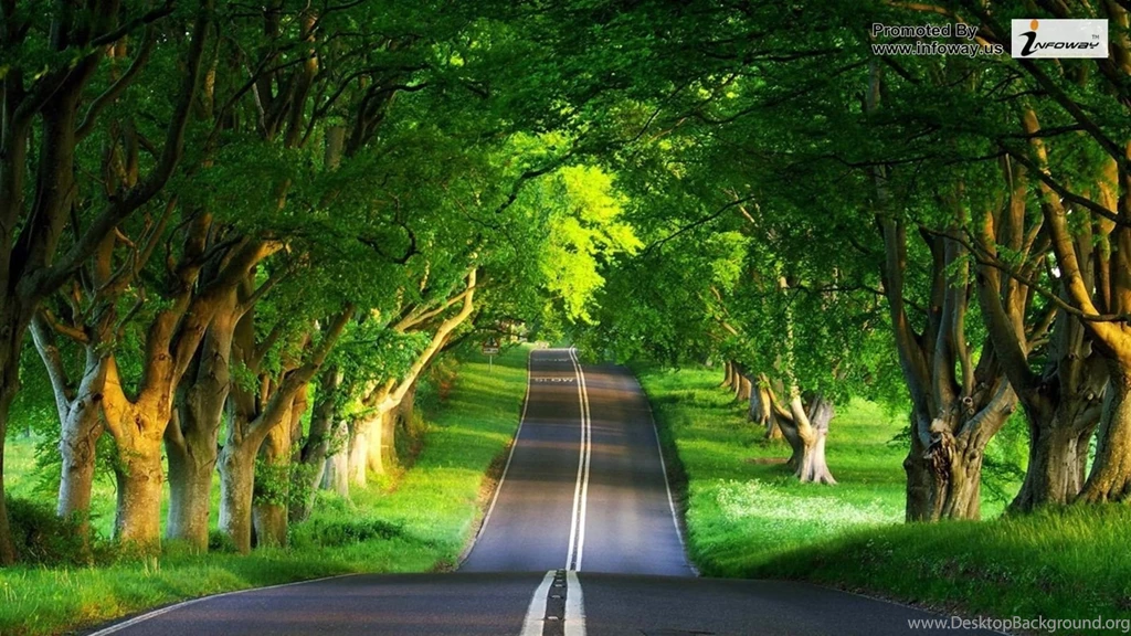 Beautiful Summer Scenery Photo 38 Of 413