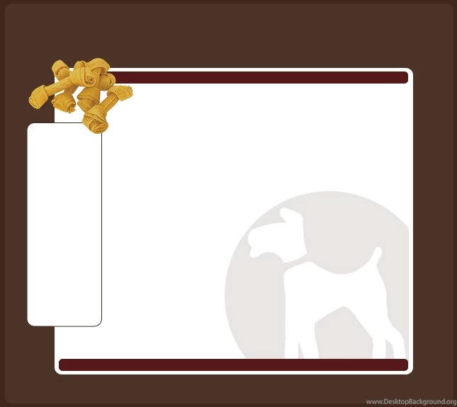 My Neighbor's Pet Sitting & Daily Dog Walking, Mill Creek, WA 98082