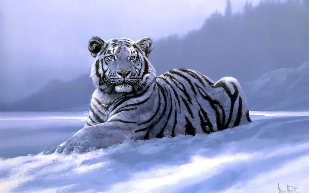 Siberian Tiger Wallpapers Wallpapers Cave
