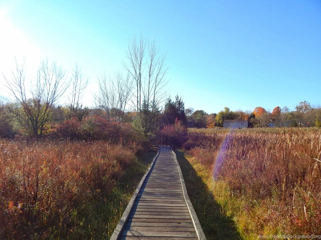 Those Who Wander: Stairway To Heaven Appalachian Trail