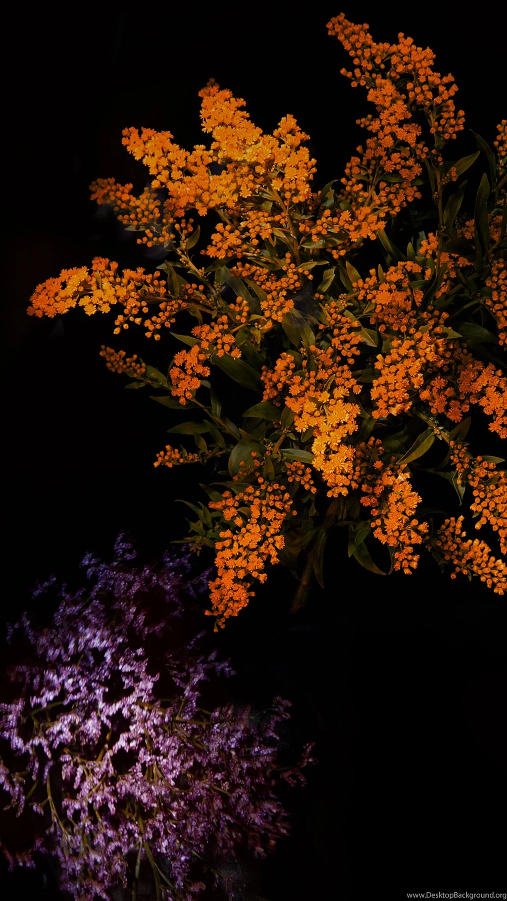 Here Are All Of IOS 9's Colorful New Wallpapers For Your iPhone ...