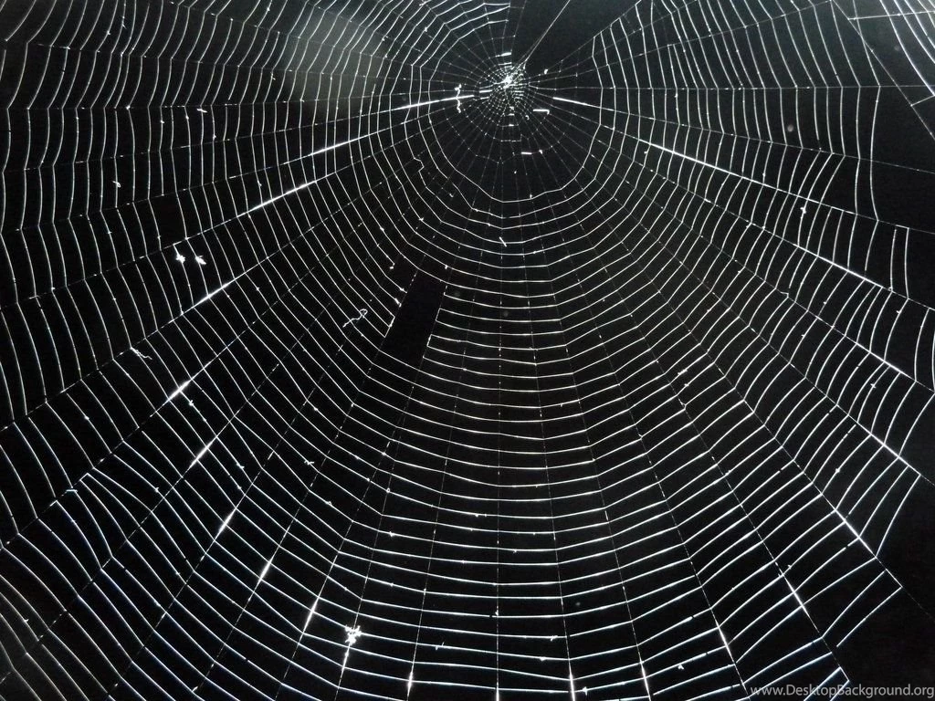 Spider Web Texture 1 By RachgracehStock On DeviantArt