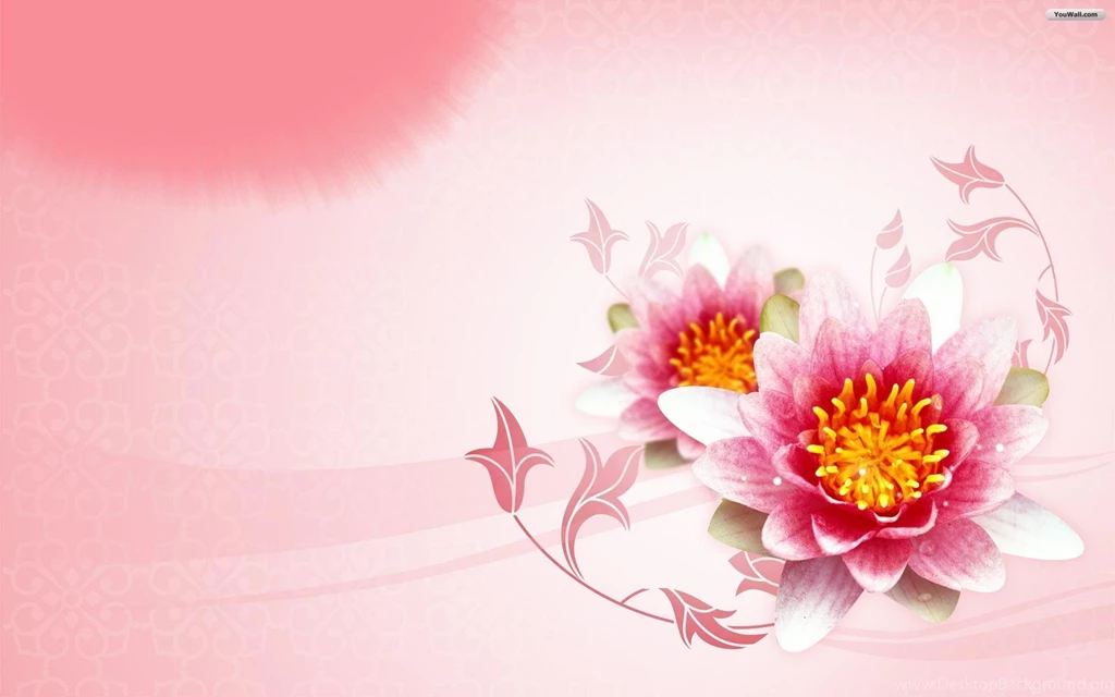 Flowers Backgrounds Wallpapers 234303