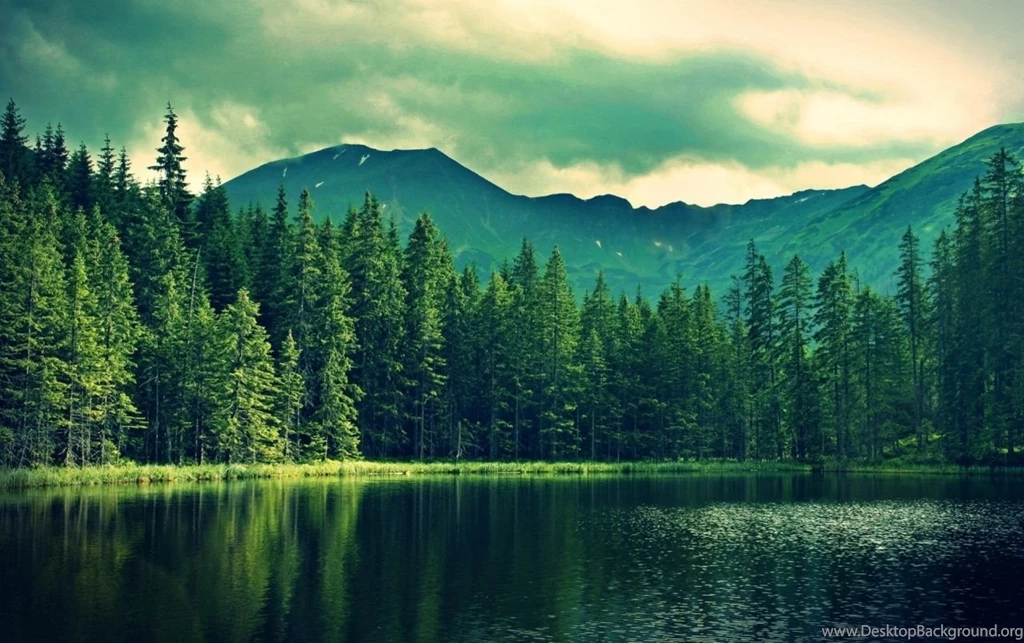 Mountain Green Forest Deep Sea Wallpapers