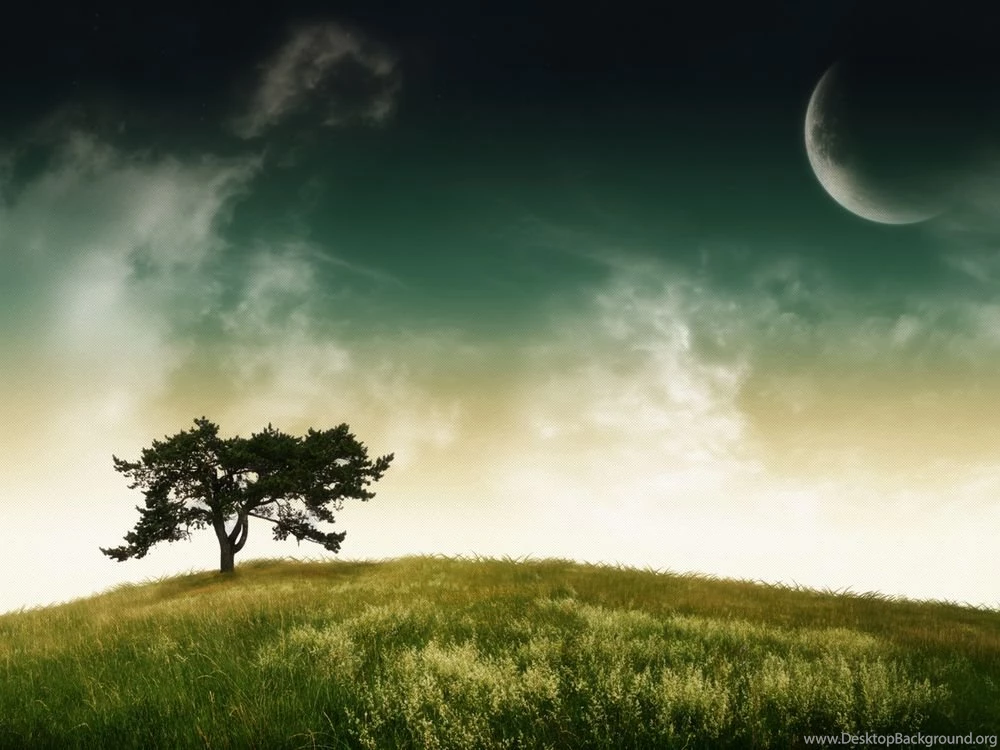 Wallpapers Simple Nature By A_Layl Customize.org