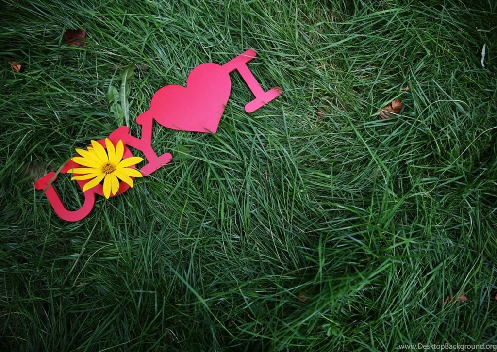 Hd Images, Effects, Download Wallpapers, Colors, Apple Desktop ...