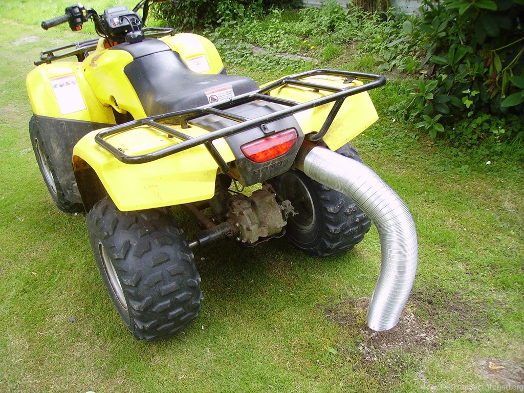 My Buddy Was Fed Up With The Mole In His Yard. Trying A New ...