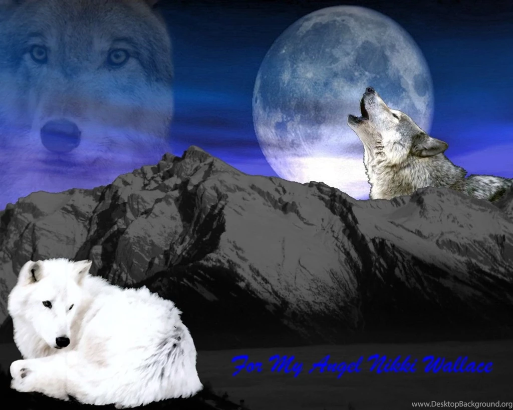 Dogs Twilight Howl Canyons Mountains Nature Puppies Dogs Animals ...