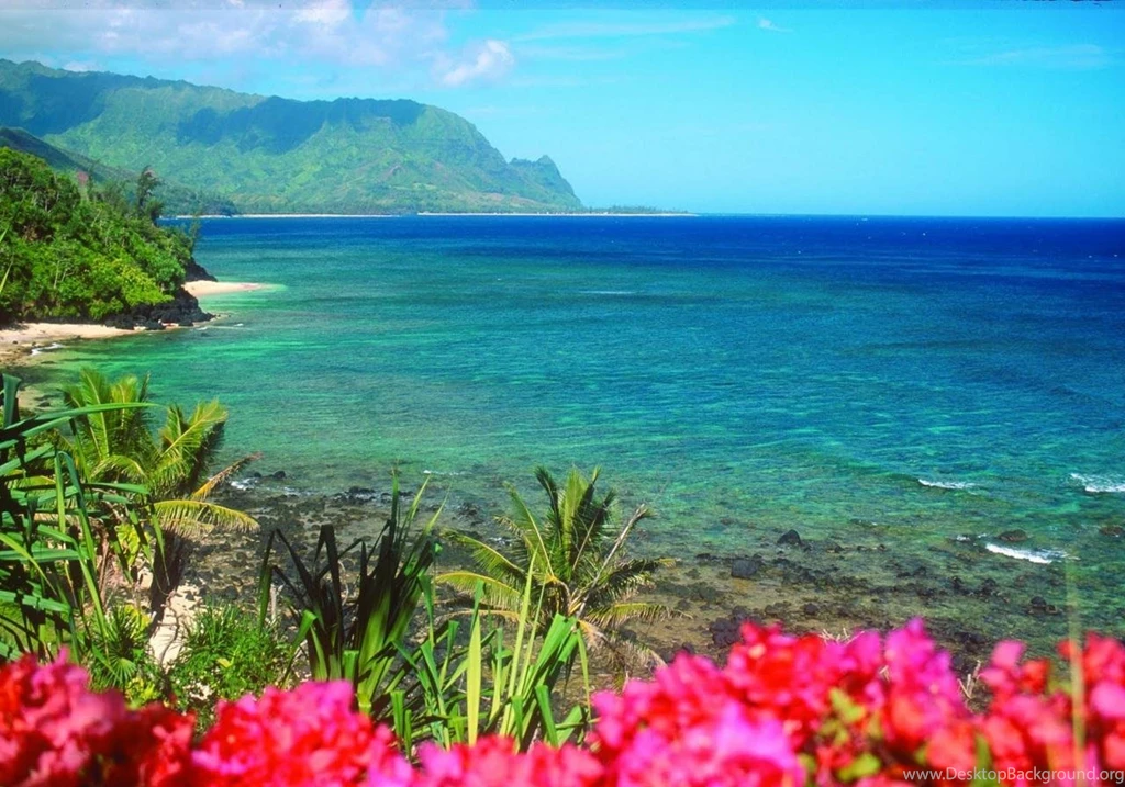 Hawaii Beach Wallpapers Hd Wallpapers N