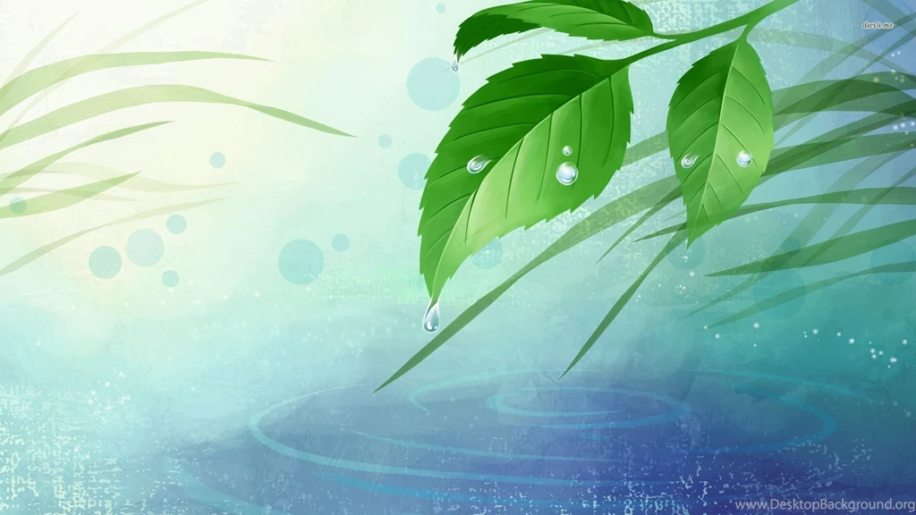 Water Drops On Leaves Wallpapers Digital Art Wallpapers