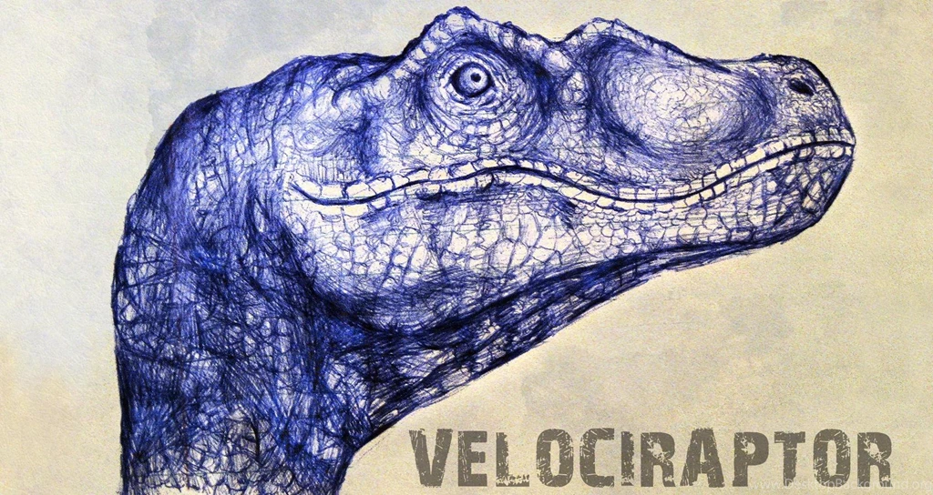 Velociraptor >> HD Wallpaper, Get It Now!