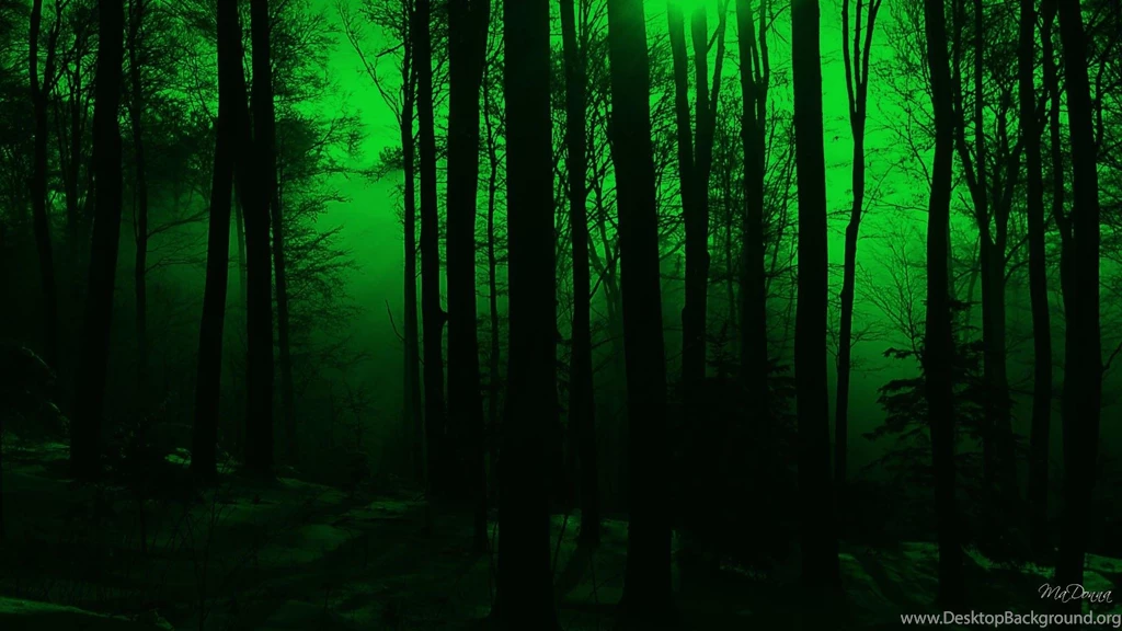 Mystical Forest >> HD Wallpaper, Get It Now!